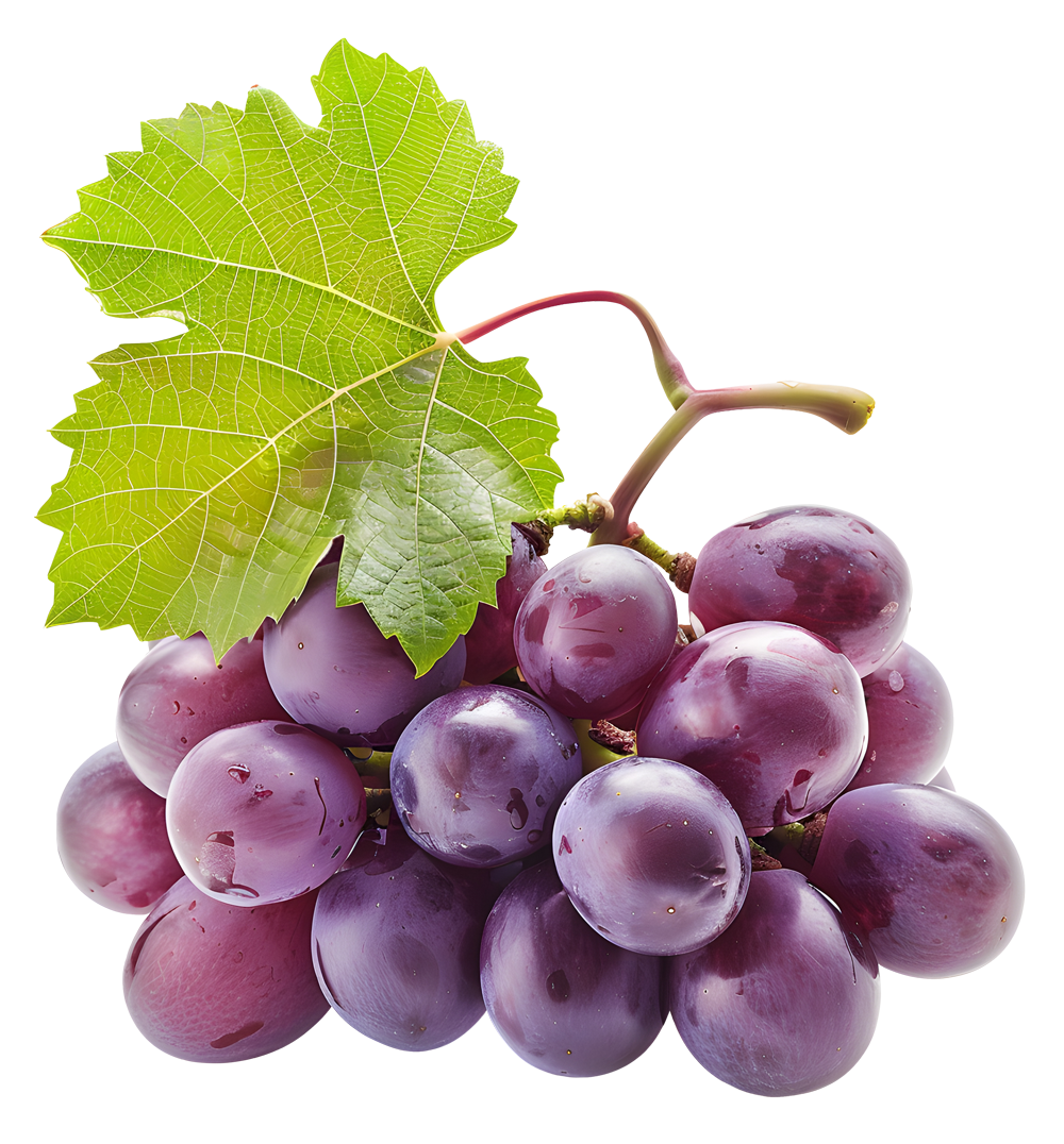 Domaine-de-Malakoff-Chateauneuf-raisin